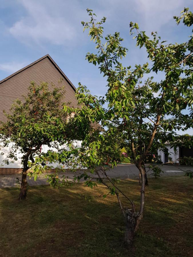 Casa Natur Medebach Exterior photo